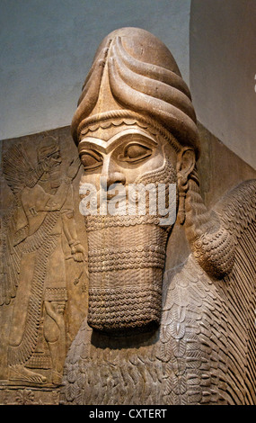 Statue lion ailé visage humain du Palais Royal d'Assurnazirpal II Nimrud 883-859 av. J.-C. en Mésopotamie Iraq Kalhu Assyrie Banque D'Images