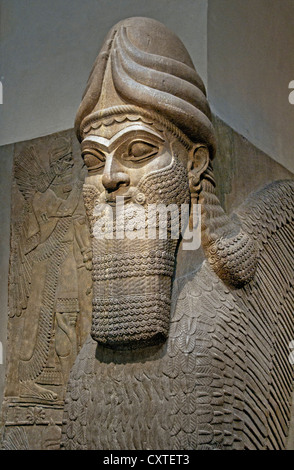 Statue lion ailé visage humain du Palais Royal d'Assurnazirpal II Nimrud 883-859 av. J.-C. en Mésopotamie Iraq Kalhu Assyrie Banque D'Images