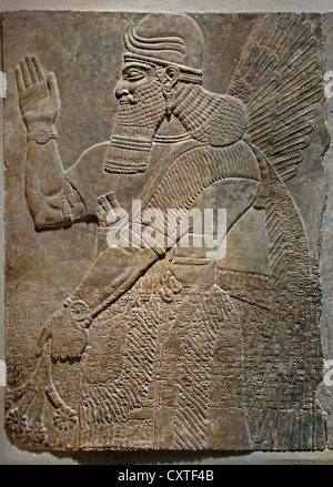 Le nord-ouest du Palais Royal d'Assurnazirpal II Nimrud 883-859 av. J.-C. en Mésopotamie Iraq ( Kalhu Musée assyrien Assyrie ) Banque D'Images