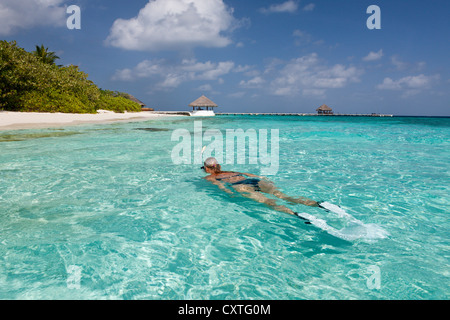 La plongée dans l'île de la lagune Eriyadu, North Male Atoll, Maldives Banque D'Images