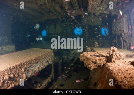 À l'intérieur Cuisine Victory Wreck Maldives, North Male Atoll, Maldives Banque D'Images