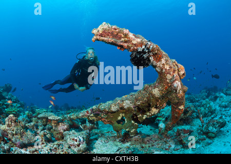 Scuba Diver trouve old Anchor dans les récifs coralliens, North Male Atoll, Maldives Banque D'Images