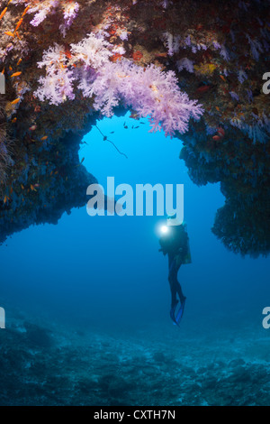 Scuba Diver explore Cave, North Male Atoll, Maldives Banque D'Images