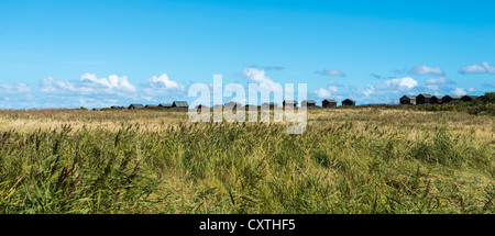 Une vue à travers les marais pour les cabines de plage noir traditionnel dans les dunes à Walberswick, Suffolk, East Anglia, Angleterre Banque D'Images