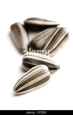 Graines de tournesol sur fond blanc Banque D'Images