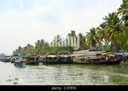 Vue horizontale de nombreux bateaux maison traditionnelle en bois, kettuvallams, amarrée le long de la berge dans les Backwaters du Kerala Banque D'Images