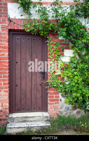 Vieille maison avec porte en bois et plantes vertes sur le village espagnol Banque D'Images