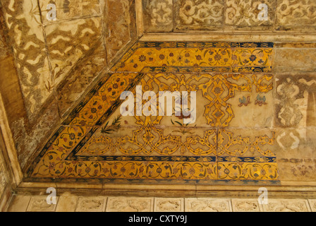 Le reste de l'or sur le toit de l'un des bâtiments de Fort d'Agra Banque D'Images