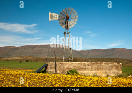 Solarenergy-appuyé d'un moulin à vent de la pompe d'irrigation dans l'Hantam Karoo, Afrique du Sud Banque D'Images