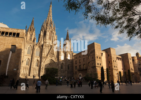 Barcelone, Espagne. La cathédrale gothique. Banque D'Images