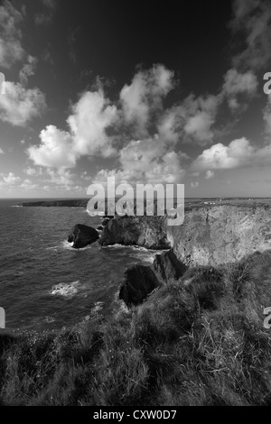 Image en noir et blanc Bedruthan Steps sea stacks, Carnewas, de l'île Cornwall County ; Angleterre ; UK Banque D'Images