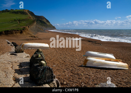 Seatown beach dans le Dorset, situé entre Albufeira et Charmouth et sur la Côte Jurassique, site du patrimoine mondial. Banque D'Images