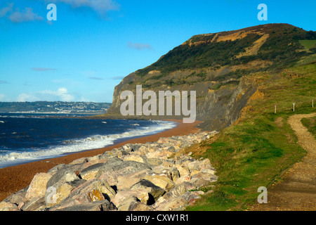 Seatown beach dans le Dorset à pour Golden Cap et le chemin côtier du sud-ouest Banque D'Images