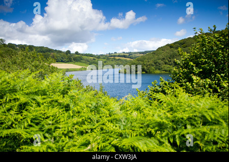 Clatworthy réservoir dans le Brendon Hills près de Exmoor National Park dans le Somerset. Connu pour sa pêche, voile et sports nautiques Banque D'Images