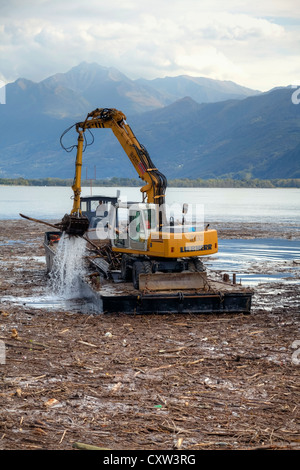 Après les tempêtes, est la baie de Locarno, Tessin, Suisse contaminée pour semaines avec du bois flotté Banque D'Images