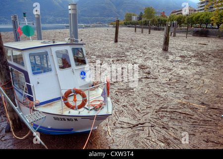 Après les tempêtes, est la baie de Locarno, Tessin, Suisse contaminée pour semaines avec du bois flotté Banque D'Images