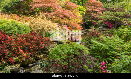 L'eau tombe dans un petit étang à Exbury Gardens dans le new forest. Banque D'Images