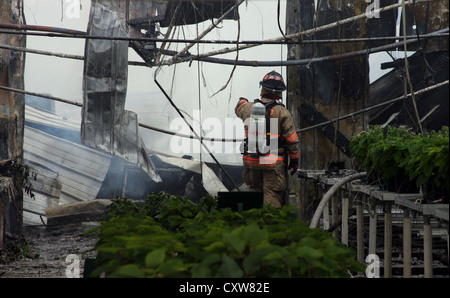 Un pompier sur les lieux d'un incendie à effet de l'effondrement du toit et Banque D'Images