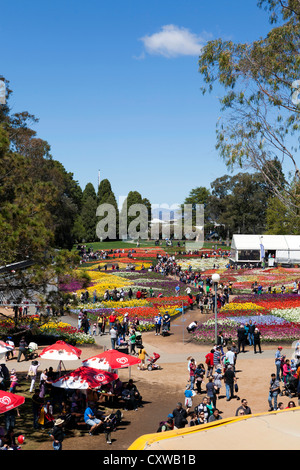 Vue aérienne sur le jardin chambres à Floriade, Commonwealth Park, Canberra, Australie Banque D'Images