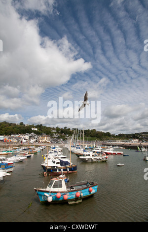 Lyme Regis Harbour au Cobb, Dorset, England, UK Banque D'Images