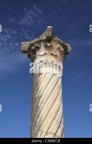 Détail d'une colonne à Volubilis Site du patrimoine mondial de l'Unesco au Maroc Banque D'Images