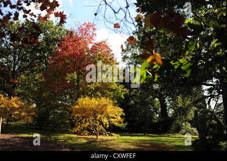Wakehurst Place Sussex UK 14 octobre 2012 - soleil d'automne fait ressortir les couleurs et les visiteurs de Wakehurst Place dans le Kent. Banque D'Images