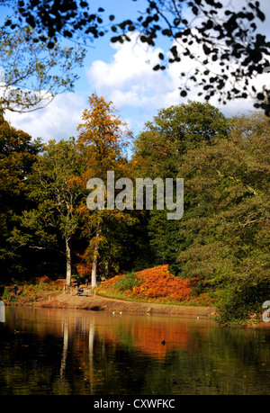 Wakehurst Place Sussex UK 14 octobre 2012 - soleil d'automne fait ressortir les couleurs et les visiteurs de Wakehurst Place dans le Kent. Banque D'Images