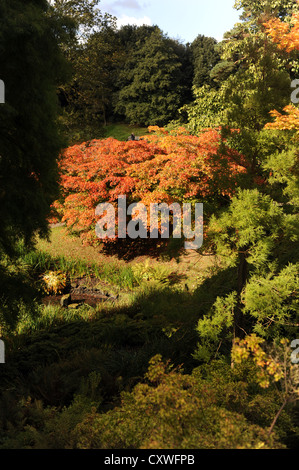 Wakehurst Place Sussex UK 14 octobre 2012 - soleil d'automne fait ressortir les couleurs et les visiteurs de Wakehurst Place dans le Kent. Banque D'Images