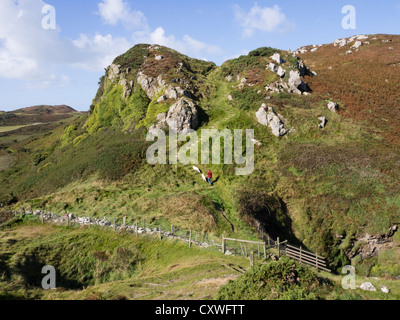 Homme marchant deux chiens sur une section raide en marches de Sentier côtier de l'île d'Anglesey à l'embouchure de l'Enfer près de Cemaes Pays de Galles du Nord Royaume-Uni Banque D'Images