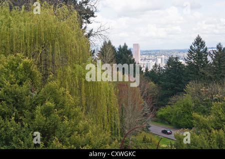 Une voiture roulant dans Washington Park dans les collines donnant sur Portland, Oregon. Banque D'Images