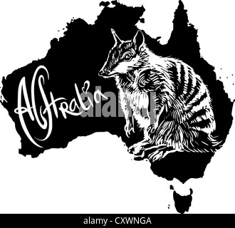 Le Numbat (Myrmecobius fasciatus) sur la carte de l'Australie. Vector illustration noir et blanc. Banque D'Images