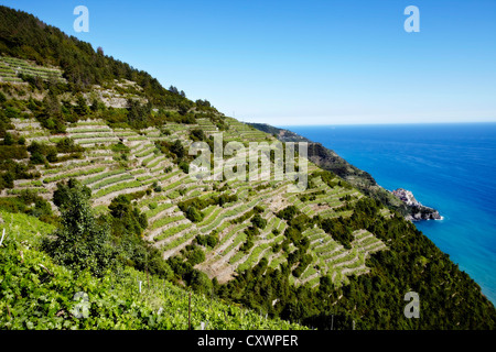 Vue aérienne de routes coupées en colline Banque D'Images