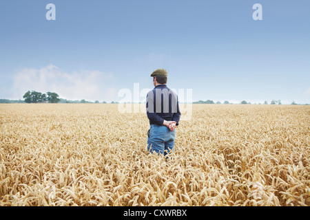 Farmer standing en champ de blé Banque D'Images