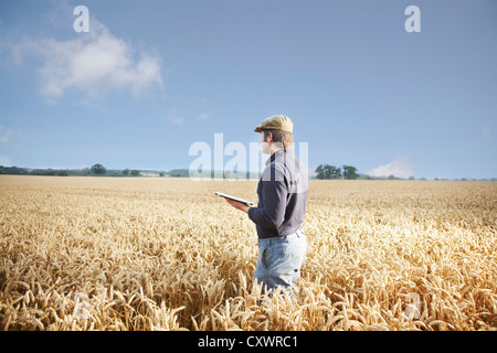 Farmer using tablet computer in field Banque D'Images