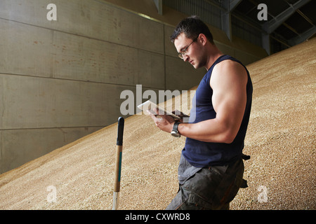 Man using tablet computer dans grain Banque D'Images