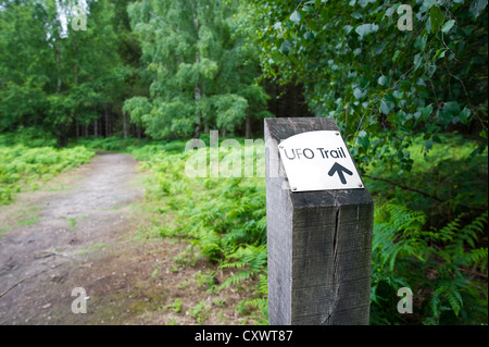 L'OVNI chemin dans la forêt de Rendlesham, Suffolk, Angleterre, RU Banque D'Images