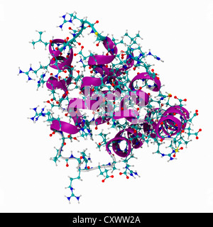 Le modèle moléculaire du récepteur du facteur de nécrose tumorale Banque D'Images