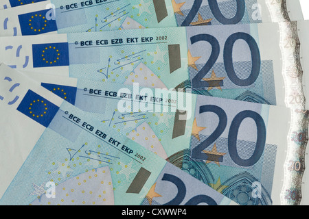 Une forme d'éventail de nouvelles croustillantes 20 Euro Note Banque D'Images