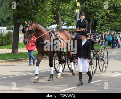 Transport de chevaux, Moscou, Russie Banque D'Images