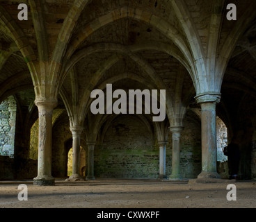 Les vestiges de l'Undercroft à l'abbaye de Battle à East Sussex, au Royaume-Uni. Banque D'Images