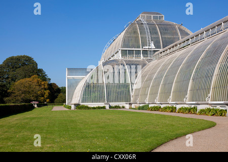 La célèbre Palm House à Kew Gardens, London, UK Banque D'Images