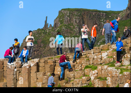 Le site du patrimoine mondial de l'UNESCO, Giants Causeway, North Coast, County Antrim, Irlande du Nord Banque D'Images