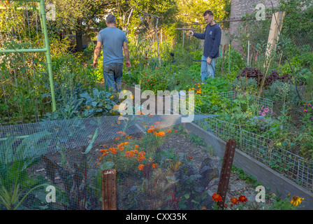 New York City, NY, États-Unis, bénévoles aidant la communauté, tendant le jardin communautaire dans la région de Harlem, Morris-Jumel, Manhattan Banque D'Images