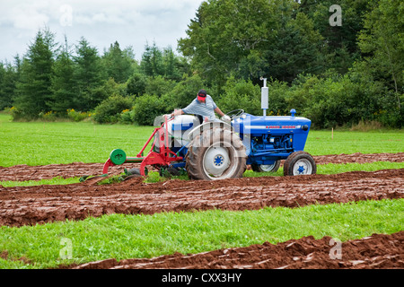 Un concurrent sur un ancien tracteur laboure dans le Provincial de Labour & foire agricole au Dundas, l'Île du Prince Édouard. Banque D'Images