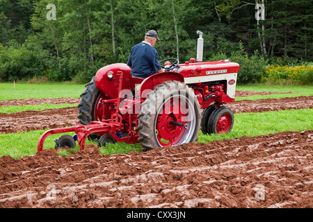 Un concurrent sur un ancien tracteur laboure dans le Provincial de Labour & foire agricole au Dundas, l'Île du Prince Édouard. Banque D'Images