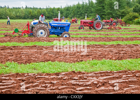 Un concurrent sur un ancien tracteur laboure dans le Provincial de Labour & foire agricole au Dundas, l'Île du Prince Édouard. Banque D'Images