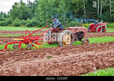 Un concurrent sur un ancien tracteur laboure dans le Provincial de Labour & foire agricole au Dundas, l'Île du Prince Édouard. Banque D'Images