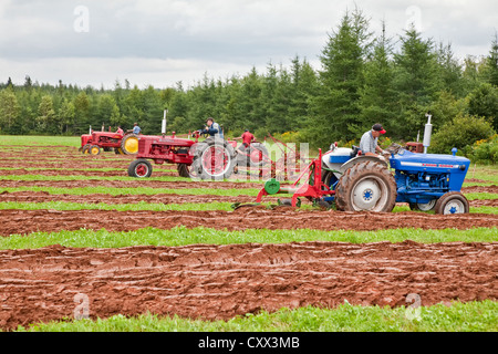 Un concurrent sur un ancien tracteur laboure dans le Provincial de Labour & foire agricole au Dundas, l'Île du Prince Édouard. Banque D'Images