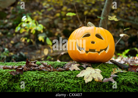 Jack O Lantern dans les bois Banque D'Images