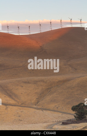 Les moulins à vent, Altamont Pass, Californie Banque D'Images